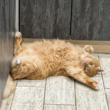 Фотоконкурс 