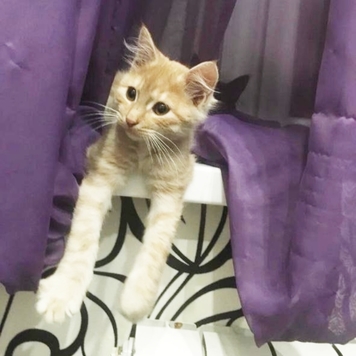 Фотоконкурс 