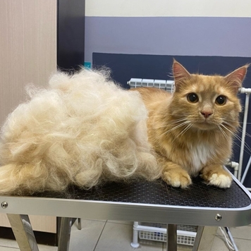 Фотоконкурс 