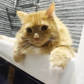 Фотоконкурс 