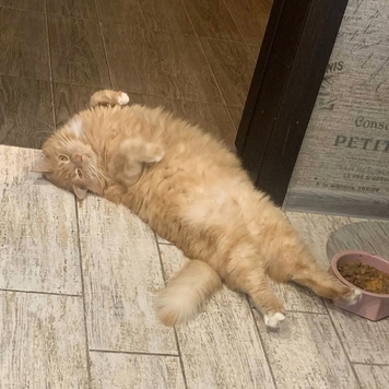 Фотоконкурс 