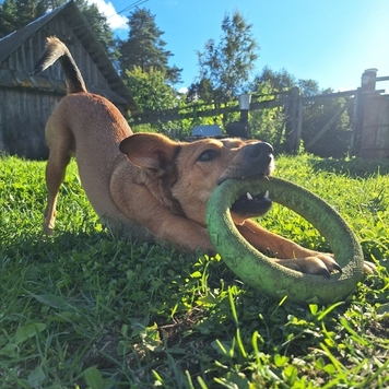 Фотоконкурс 