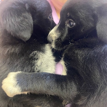 Фотоконкурс 