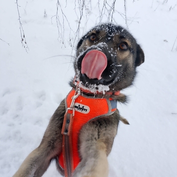 Фотоконкурс
