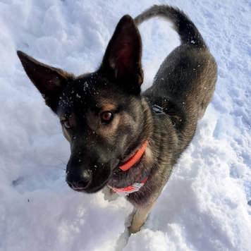 Фотоконкурс