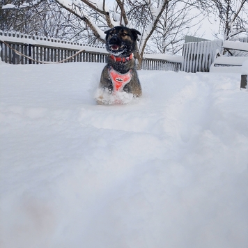 Фотоконкурс