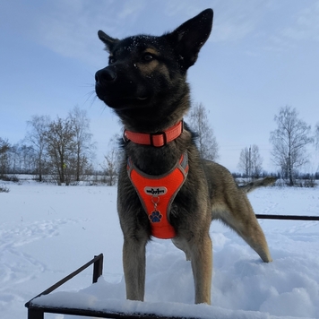 Фотоконкурс