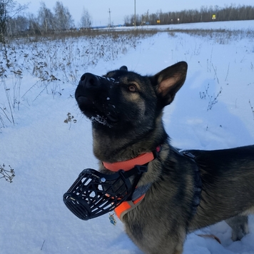 Фотоконкурс