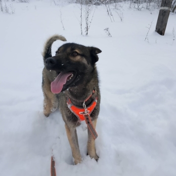 Фотоконкурс