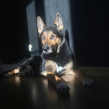 Фотоконкурс 