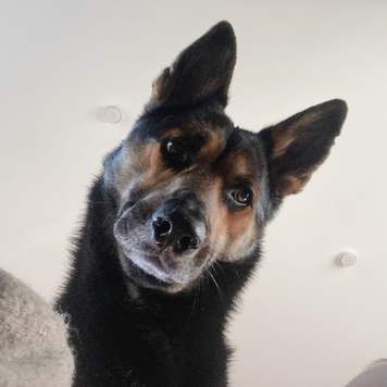 Фотоконкурс 