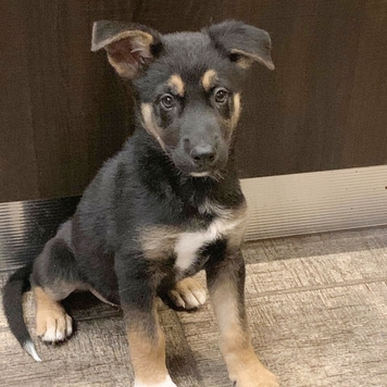 Фотоконкурс 