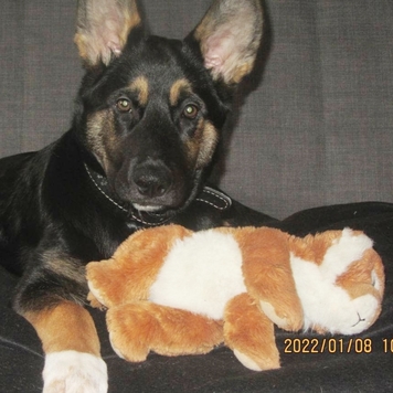 Фотоконкурс 