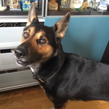 Фотоконкурс 