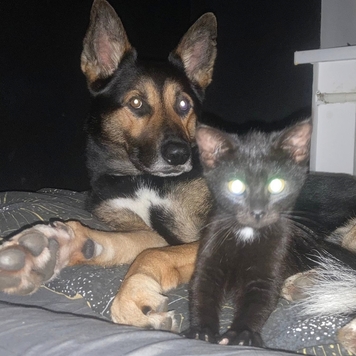 Фотоконкурс 