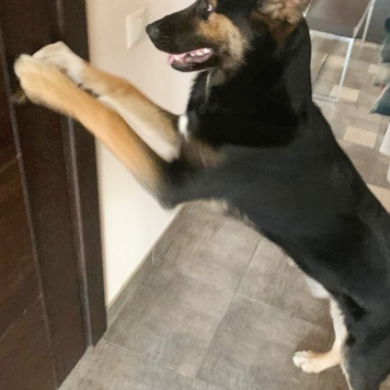 Фотоконкурс 