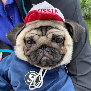 Фотоконкурс