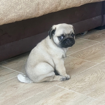 Фотоконкурс