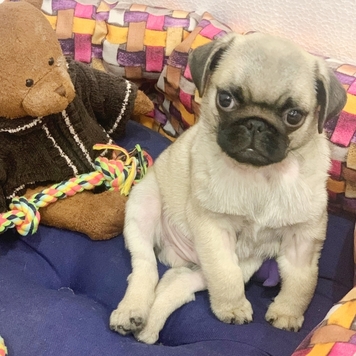 Фотоконкурс