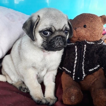 Фотоконкурс