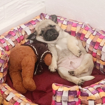 Фотоконкурс