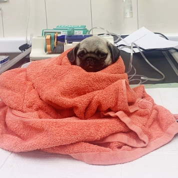 Фотоконкурс