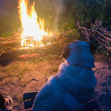 Фотоконкурс