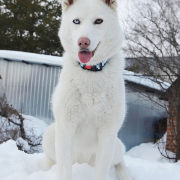 Фотоконкурс 