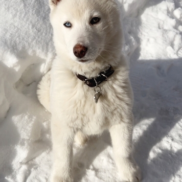 Фотоконкурс 