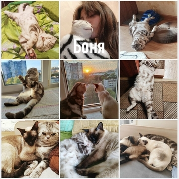 Фотоконкурс 📸 "Моя хвостатая любовь" 💘 ГОЛОСОВАНИЕ "Мой...