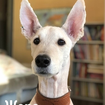 Фотоконкурс 