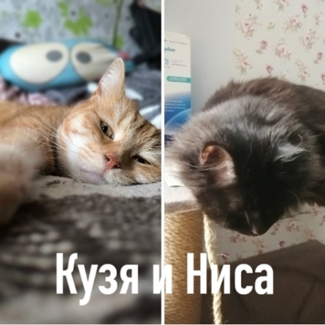 ПОБЕДИТЕЛИ фотоконкурса