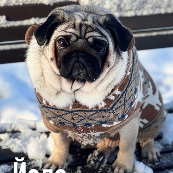 ПОБЕДИТЕЛИ фотоконкурса