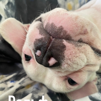 Фотоконкурс 📸 "Моя хвостатая любовь" 💘 СПЕЦИАЛЬНЫЕ...