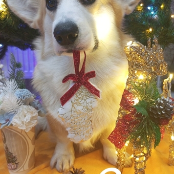 Фотоконкурс 