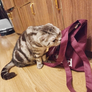 Подарки 🎁🎁🎁 ждут победителей и призеров фотоконкурса в...