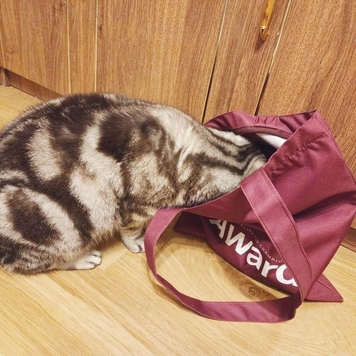 Подарки 🎁🎁🎁 ждут победителей и призеров фотоконкурса в...