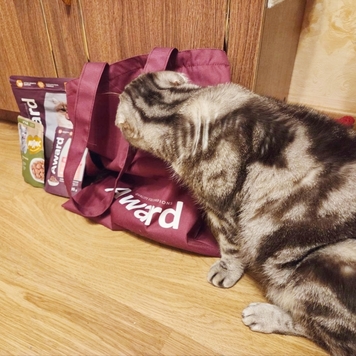 Подарки 🎁🎁🎁 ждут победителей и призеров фотоконкурса в...