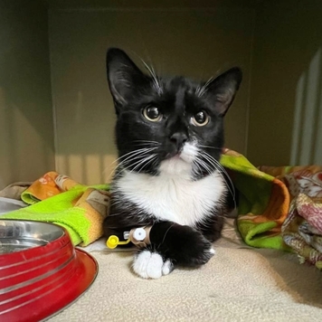 Друзья, а на дворе-то уже ВЕСНА!