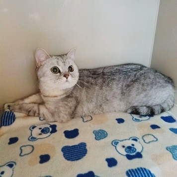 Друзья, а на дворе-то уже ВЕСНА!