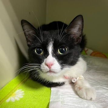 Друзья, а на дворе-то уже ВЕСНА!