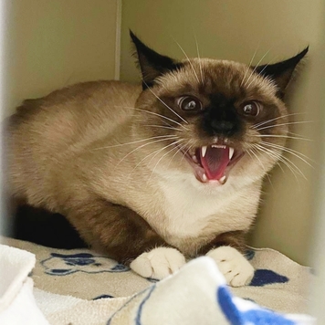 Друзья, а на дворе-то уже ВЕСНА!