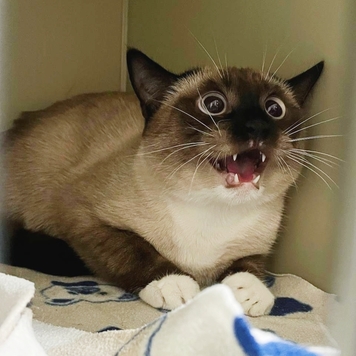 Друзья, а на дворе-то уже ВЕСНА!