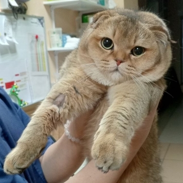 Друзья, а на дворе-то уже ВЕСНА!