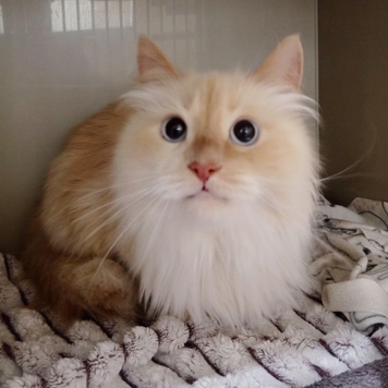 Друзья, а на дворе-то уже ВЕСНА!