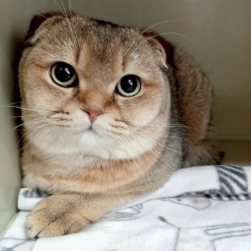 Друзья, а на дворе-то уже ВЕСНА!