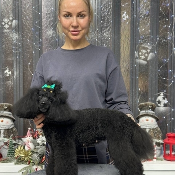 БАРС поздравляет!