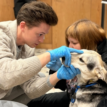 Стоматология в БАРСе