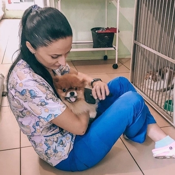 Ветеринарная клиника БАРС (Тверь) приглашает на практику...