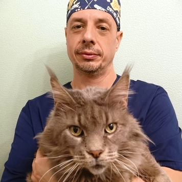 Травматология и ортопедия в БАРСе